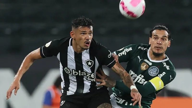 palmeiras botafogo brasileirão